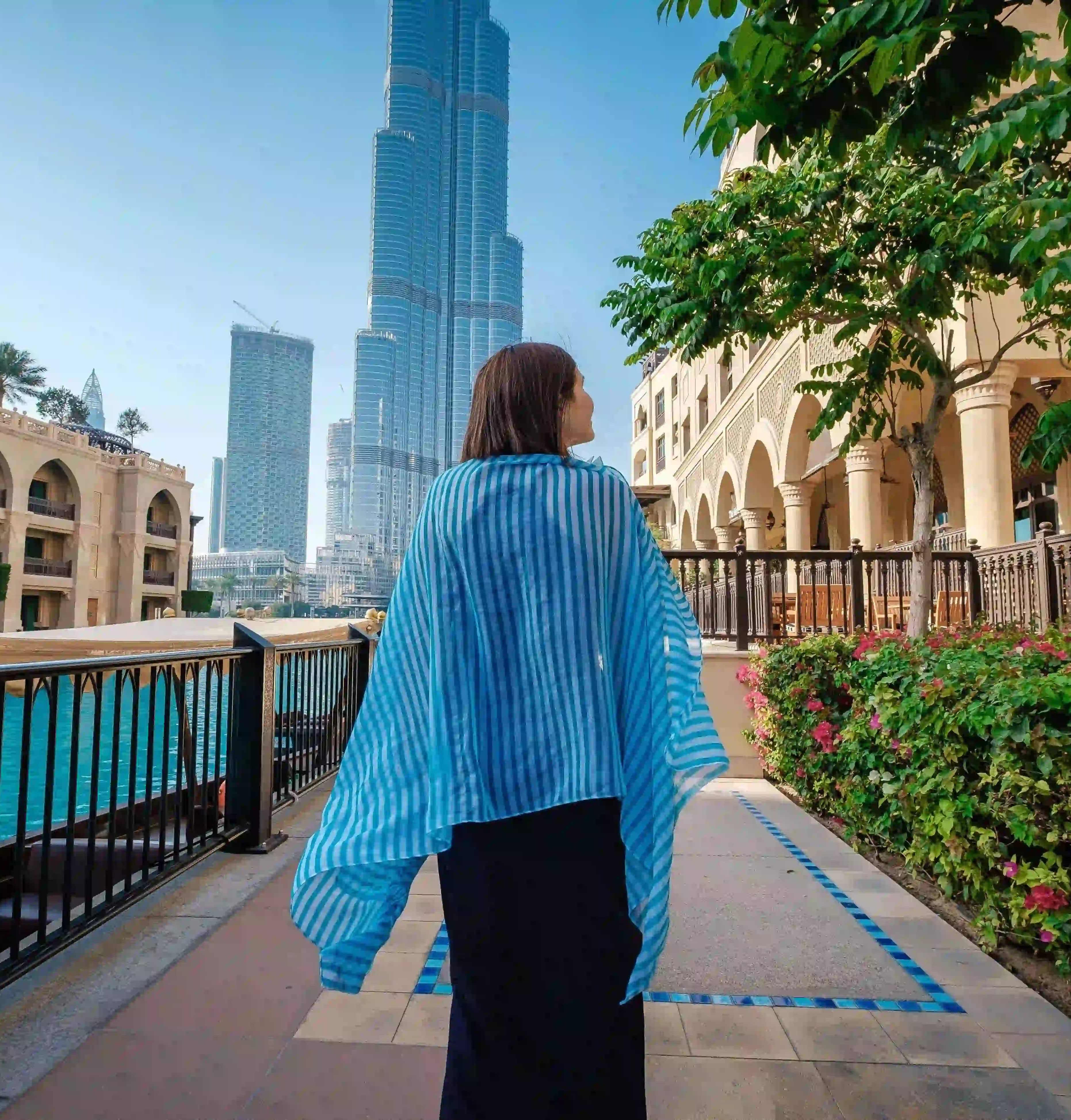 Dubai Real Estate View